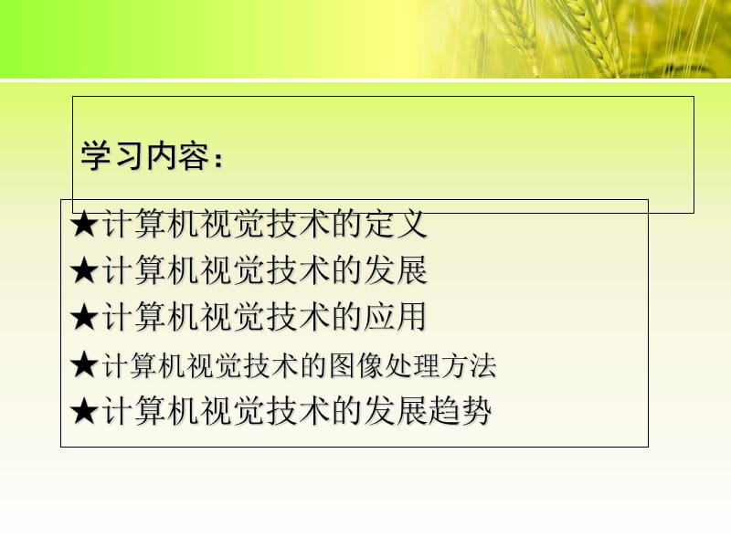 计算机视觉技术.ppt_第2页