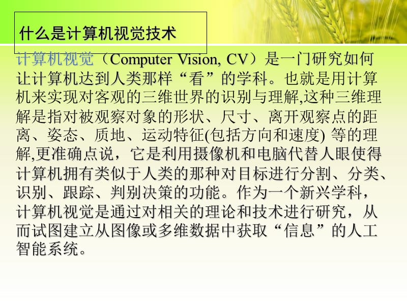 计算机视觉技术.ppt_第3页