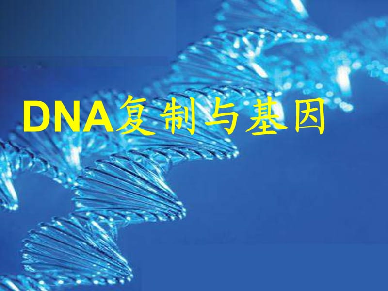 高一生物DNA复制与基因.ppt_第1页