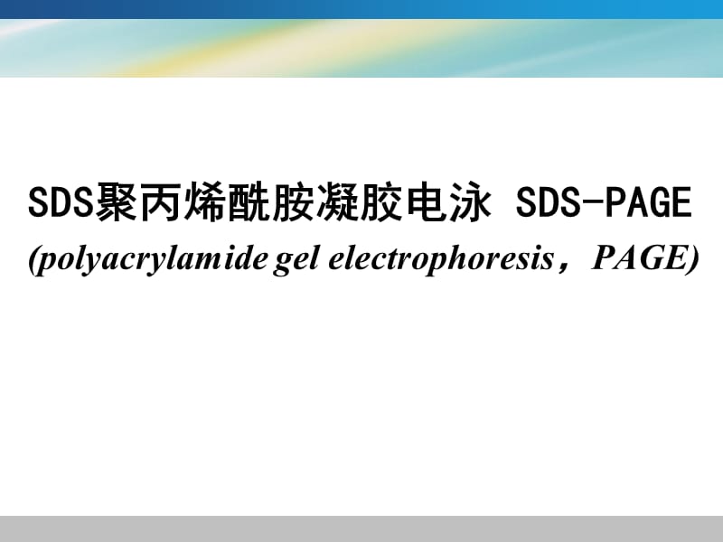 蛋白质电泳技术介绍.ppt_第2页