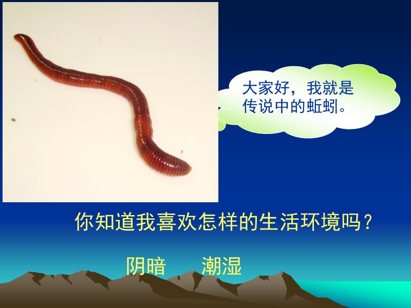 《蚯蚓的选择》PPT课件.ppt_第3页