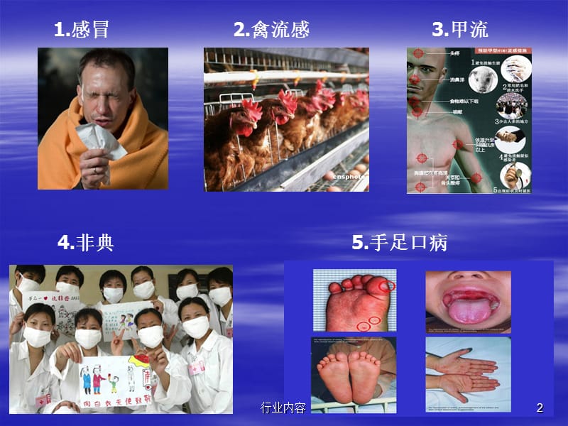 病理生理学课件 发热【行业特制】.ppt_第2页