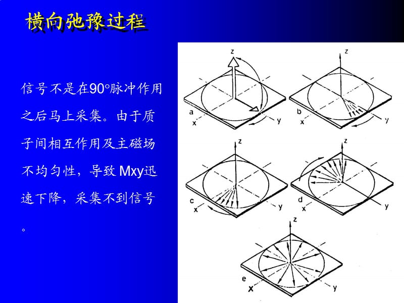 核磁共振序列简介.ppt_第1页