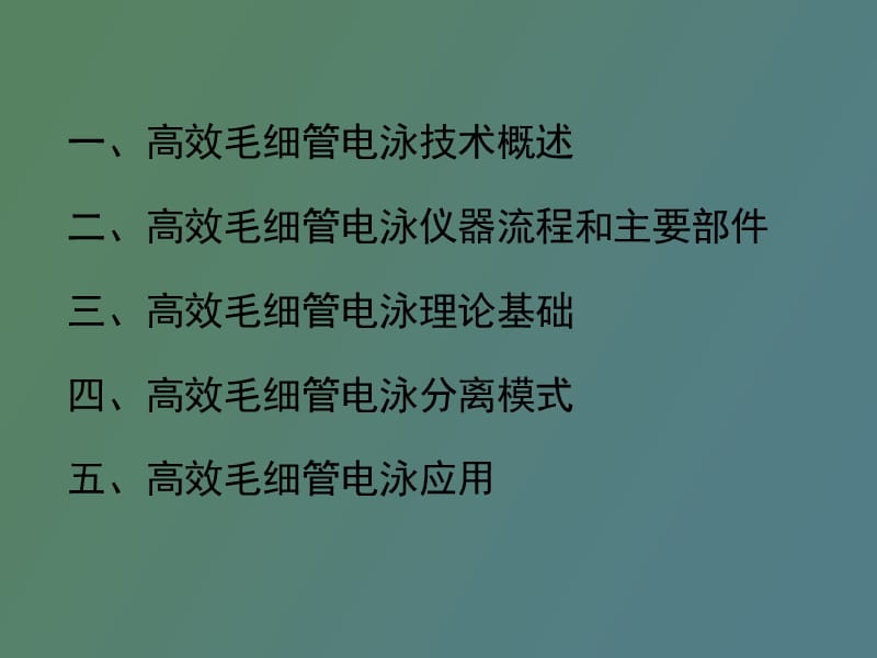 高效毛细管电泳技术.ppt_第2页