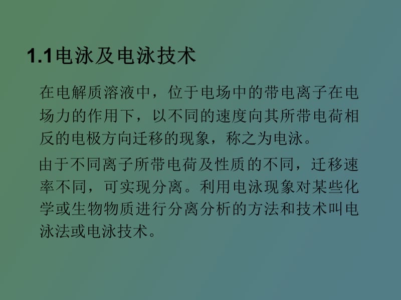 高效毛细管电泳技术.ppt_第3页