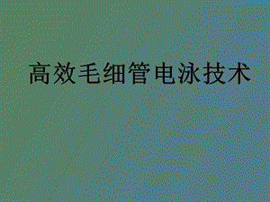 高效毛细管电泳技术.ppt