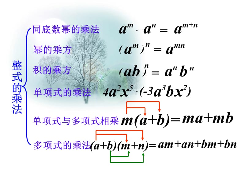 整式的乘法因式分解复习课件.ppt_第3页