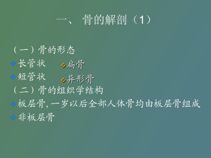 骨骼影像诊断.ppt_第3页