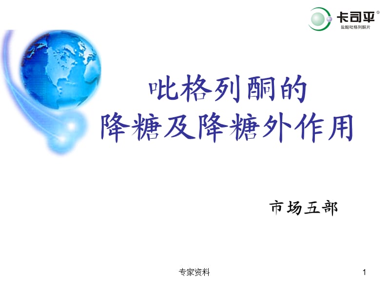 全能的吡格列酮【行业特制】.ppt_第1页