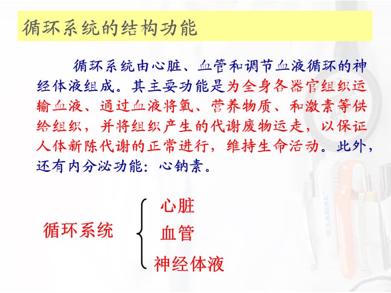 循环系统的结构功能课件.ppt_第3页