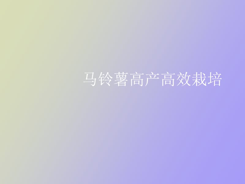 马铃薯高产高效栽培.ppt_第1页