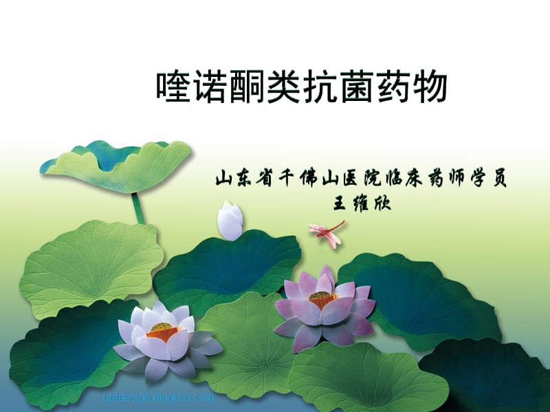 喹诺酮类抗菌药物【行业特制】.ppt_第1页