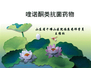 喹诺酮类抗菌药物【行业特制】.ppt