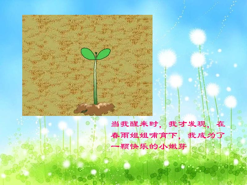 豆角的生长过程.ppt_第3页