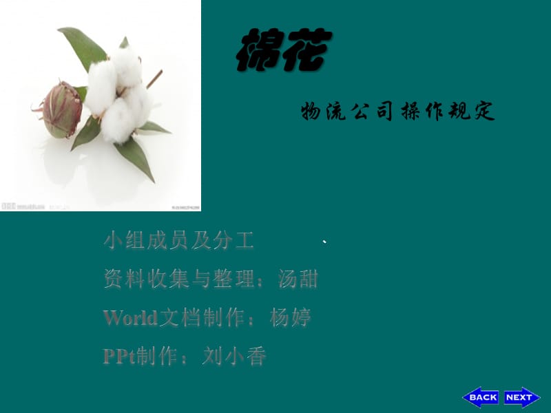 棉花--货物学.pptx_第1页