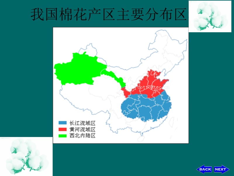 棉花--货物学.pptx_第2页