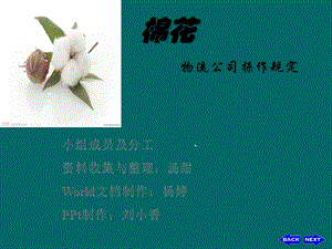 棉花--货物学.pptx