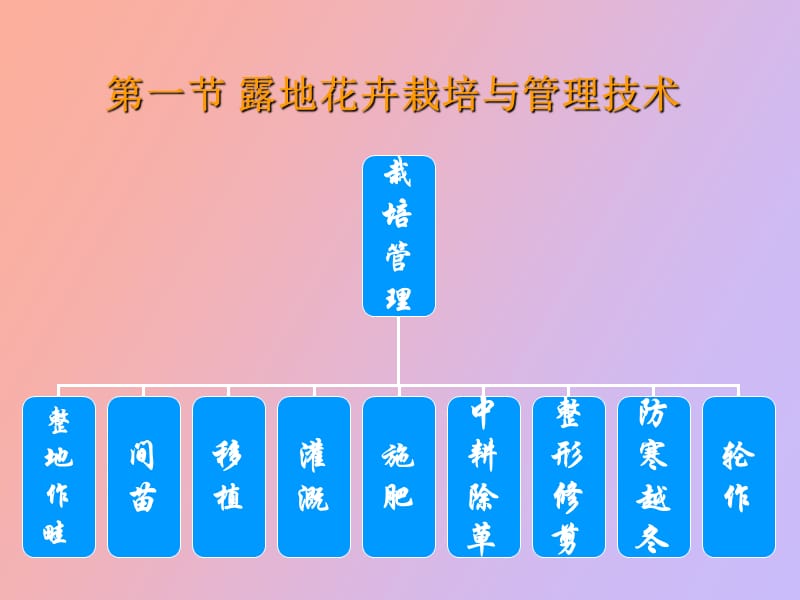 露地花卉栽培.ppt_第3页