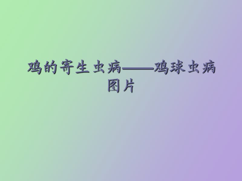 鸡的寄生虫病.ppt_第1页