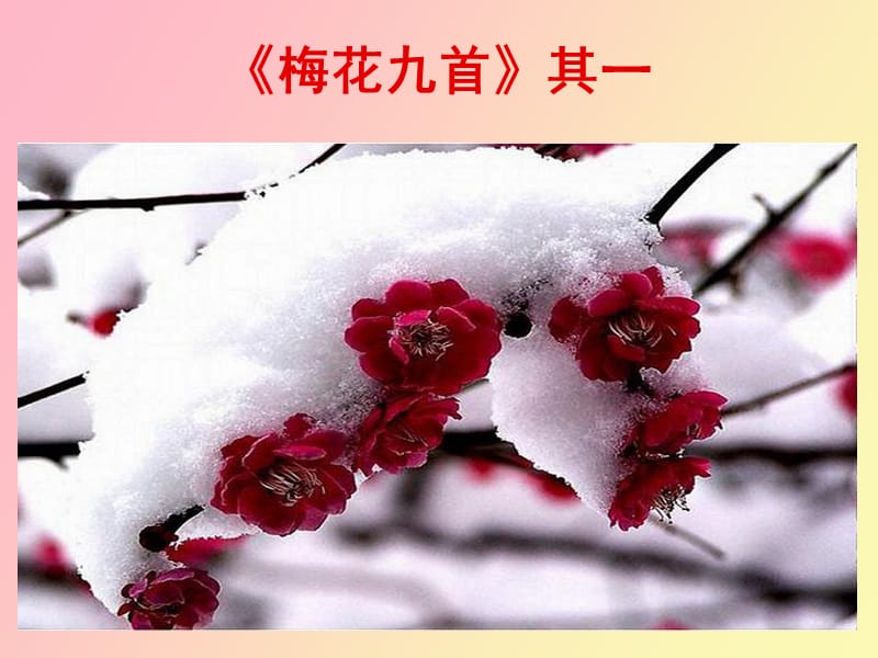 高启《梅花九首》其一.ppt_第1页