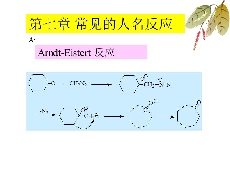 常见的人名反应.ppt_第1页