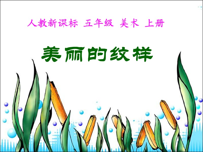 人教版美术五年级上册《美丽的纹样》PPT课件.ppt_第1页