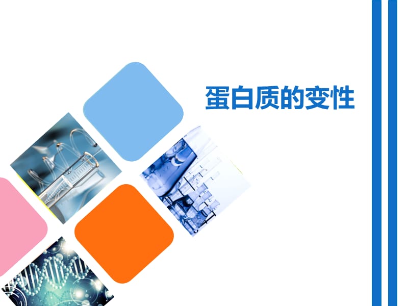 蛋白质的变性.ppt_第1页