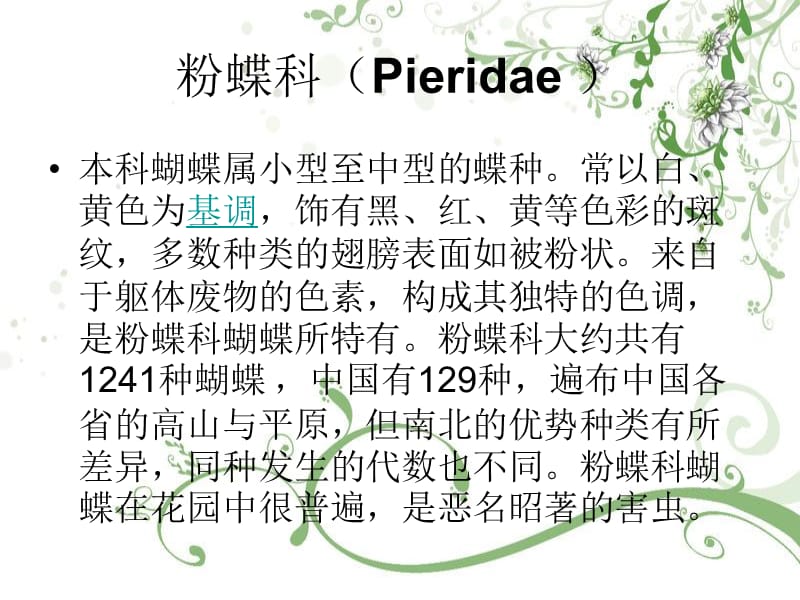 粉蝶科（Pieridae ）.ppt_第1页