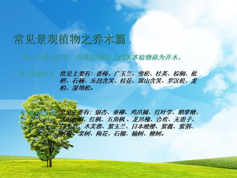 小区景观设计常用植物(湖南地区).ppt_第2页