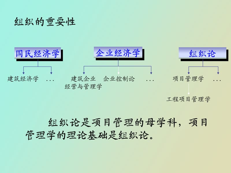 项目管理的组织理论.ppt_第2页