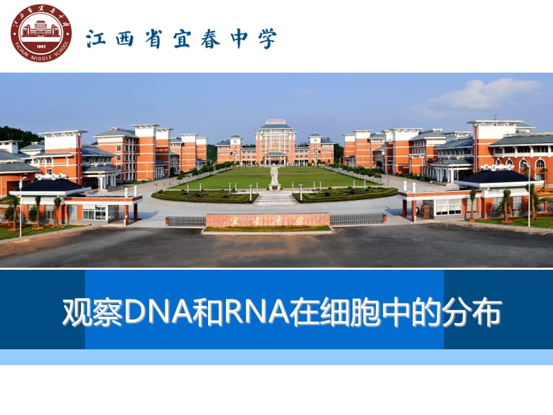 观察DNA和RNA在细胞中的分布(实验说课).ppt_第1页