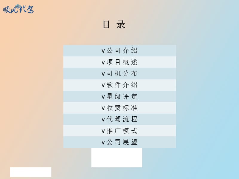 顺风代驾项目介绍.ppt_第2页