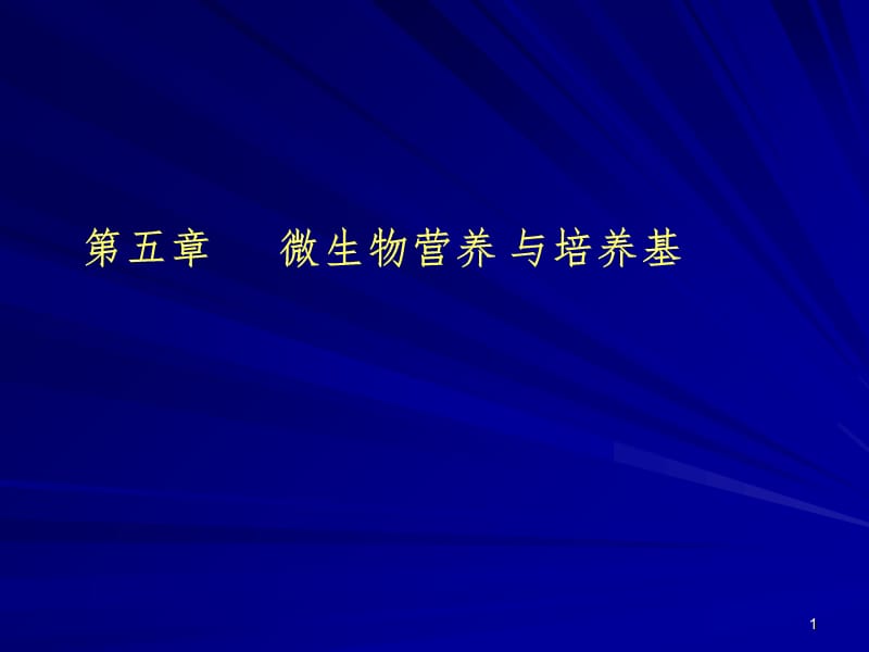 营养与培养基幻灯片.ppt_第1页