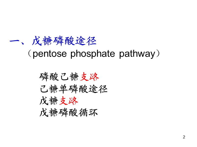 戊糖途径幻灯片.ppt_第2页