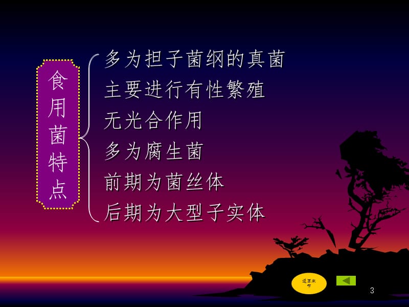 形态与分类幻灯片.ppt_第3页