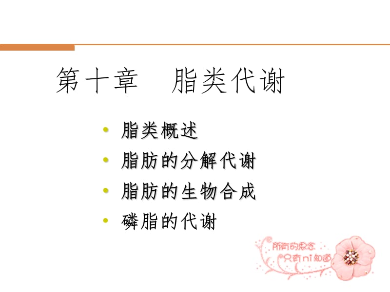 脂类代谢m幻灯片.ppt_第1页