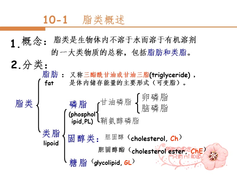 脂类代谢m幻灯片.ppt_第2页