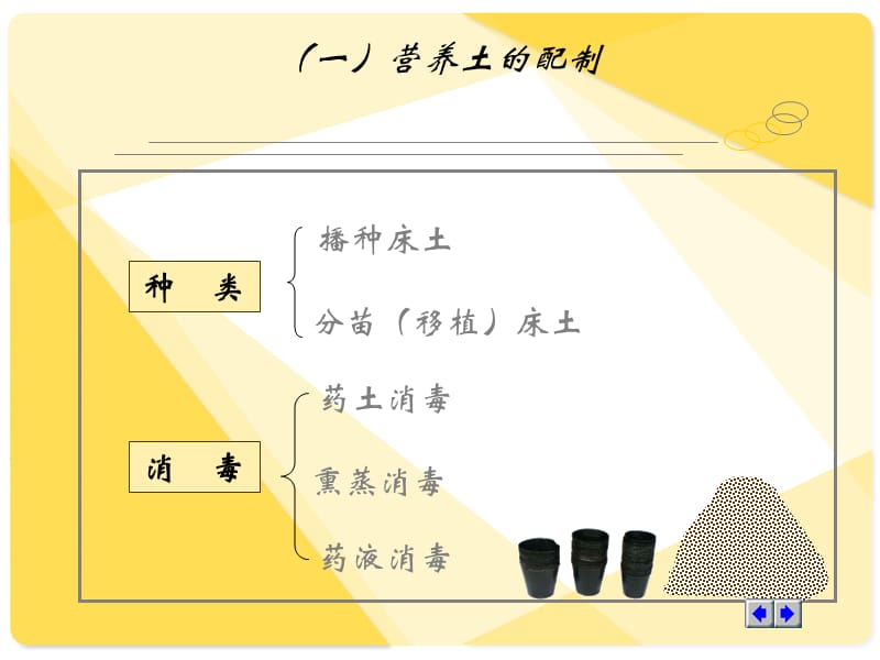 蔬菜育苗技术ppt.ppt_第3页