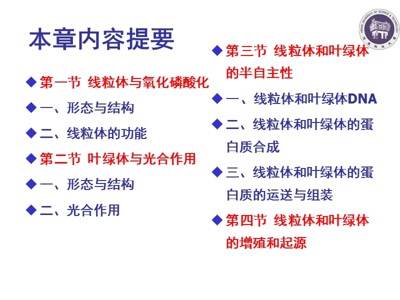 细胞的能量转换幻灯片.ppt_第2页