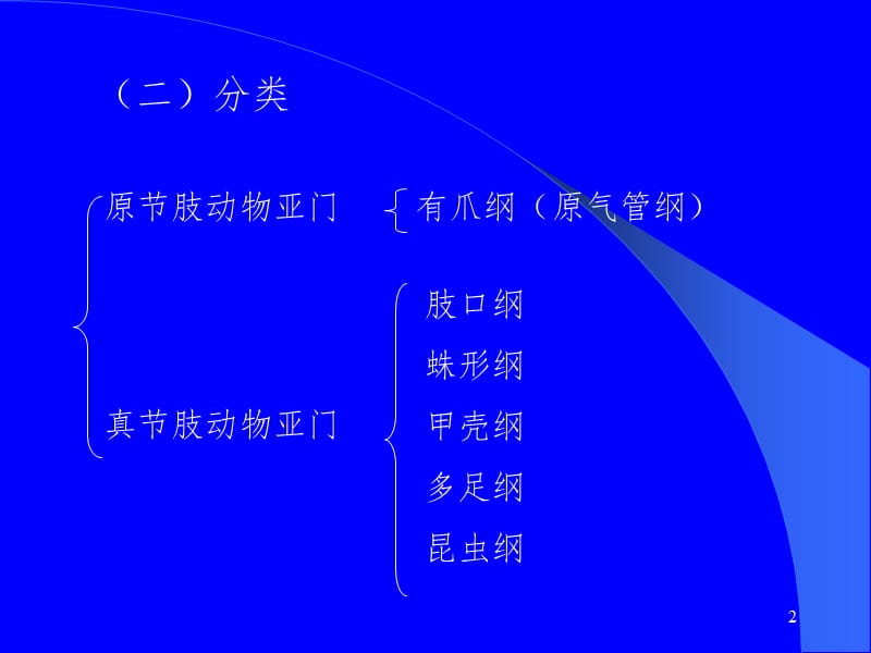 修改节肢动物幻灯片.ppt_第2页