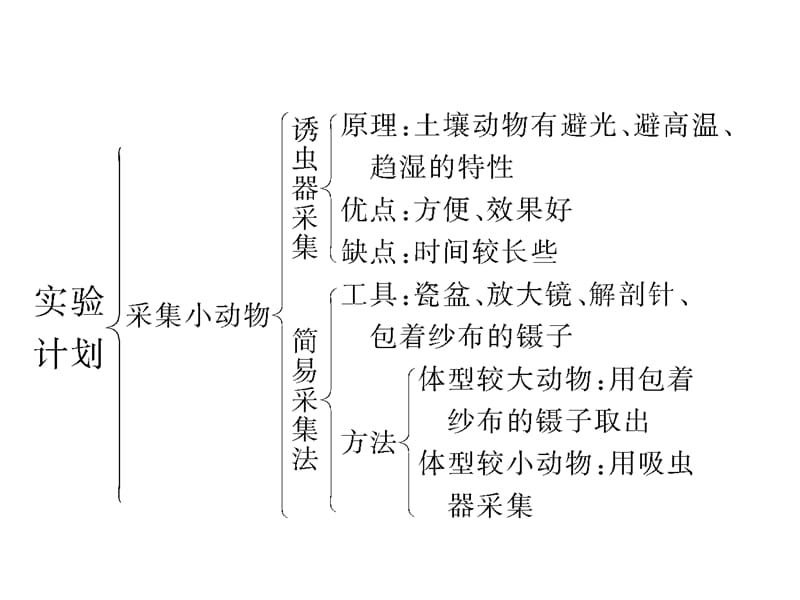 探究土壤中小动物类群丰富度.ppt_第3页