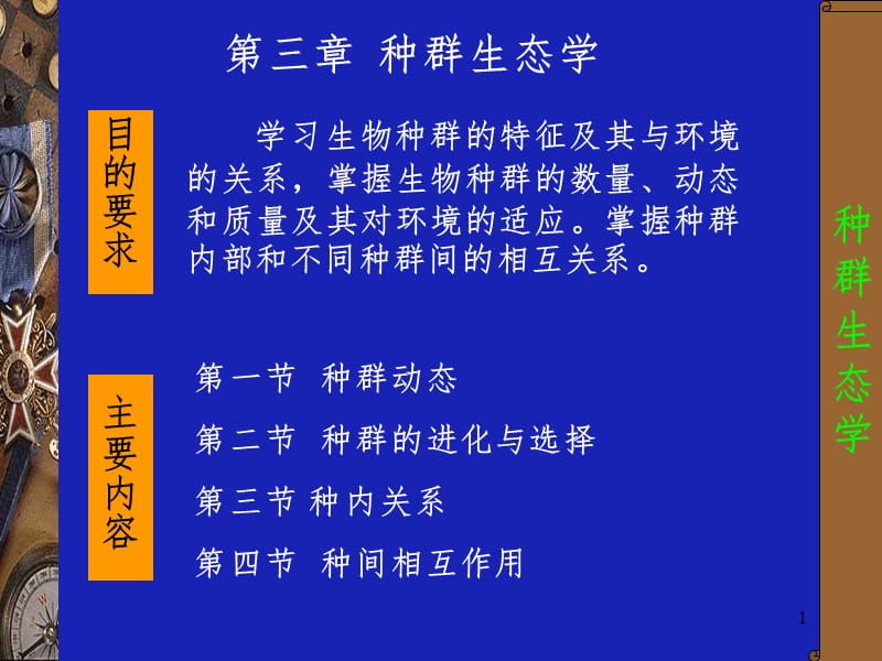 种群生态幻灯片.ppt_第1页