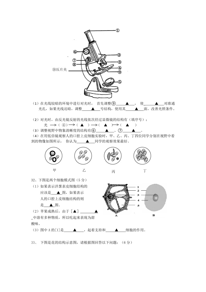 七年级上册生物期末测试卷及答案.docx_第3页