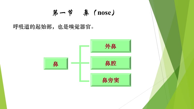 呼吸系统080403.ppt_第3页