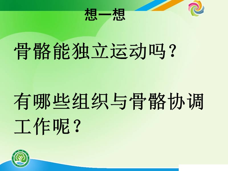 教科版科学四年级上册骨骼、关节和肌肉.ppt_第3页