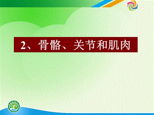 教科版科学四年级上册骨骼、关节和肌肉.ppt