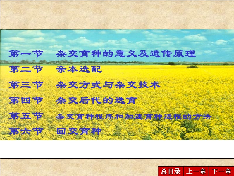 杂交育种PPT幻灯片.ppt_第2页