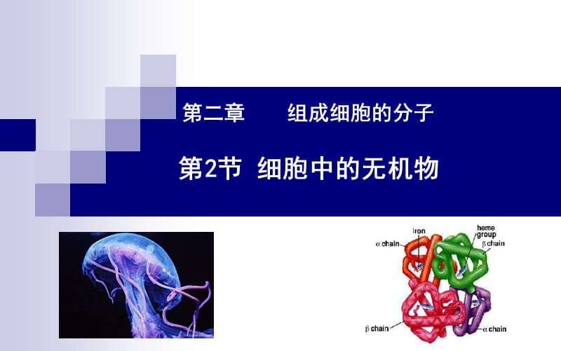 新教材 2.2 细胞中的无机物.ppt_第1页