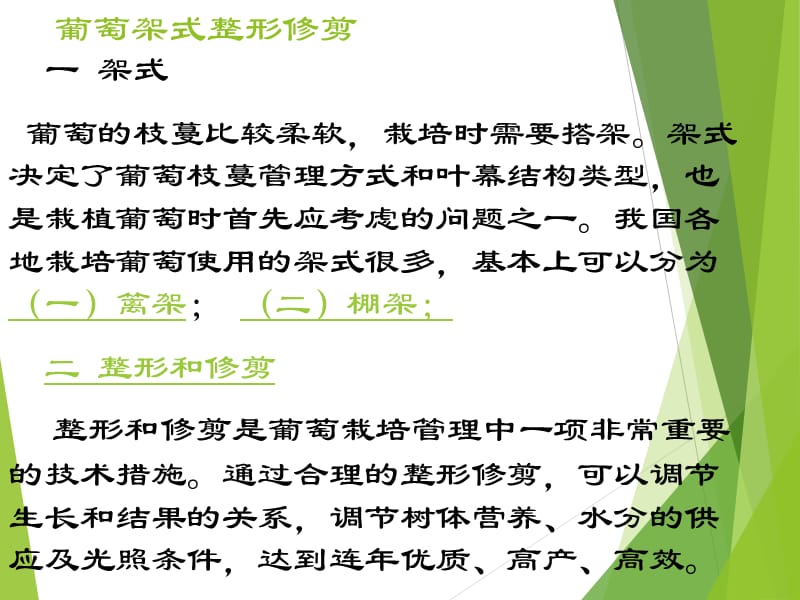 葡萄架式及整形修剪.ppt_第1页