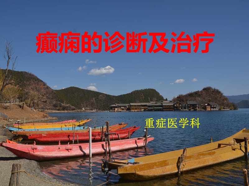 癫痫的诊断与治疗(2015指南版).ppt_第1页